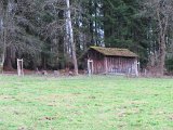 Huette am kleinen Muehlenberg  (1)